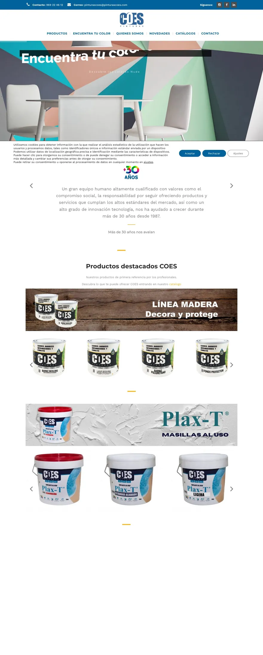 Captura de la web Pinturas COES